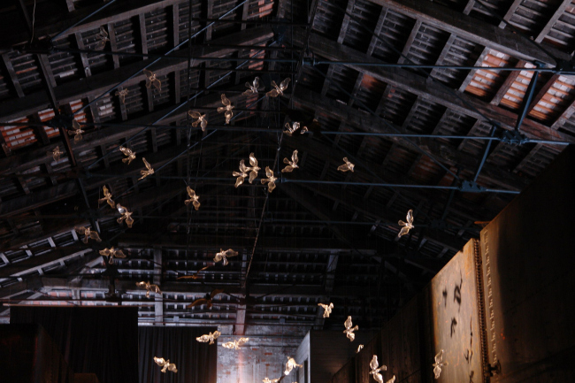 ���� �� � ��� �����. ����������� ������ / ����� � ��������� ���. ���� ���� ��������