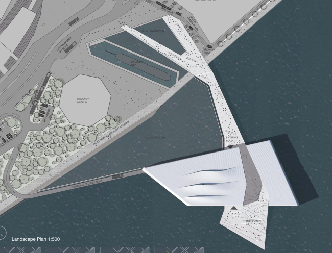 ������ ���� ���������