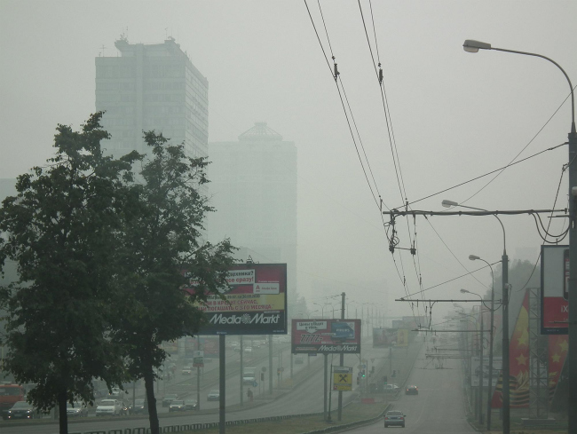 ������ � ����. ���� 2010