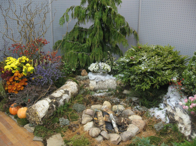 ��������� ����������� ��������� ����������� �� ���� ������ � ����