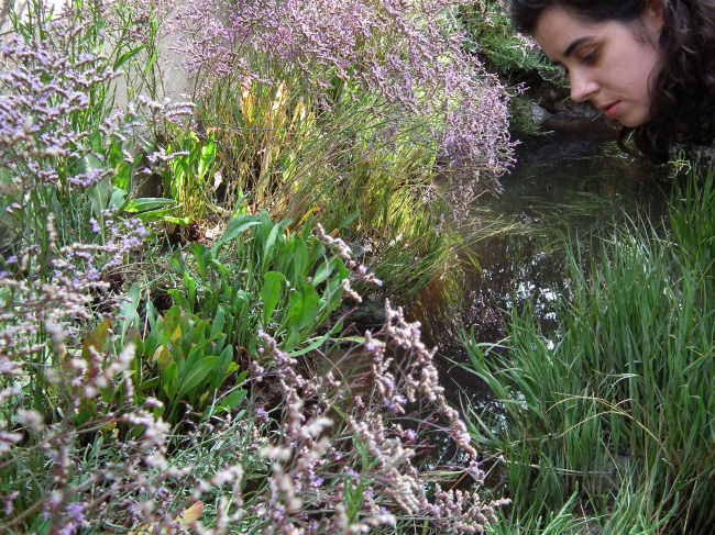 ������, ������ �������, �� �������� ������������� (�� ����, ����� ���� ������, ��� �����, ����� �������, �� ���-�� ��������� ��������). ����� ��������, ��� �� ����� ��������������� �� ����������� ������������� ���, �� ��������, ������ �������� �������� ��������, ��� � ���������� ���� (�����), ��� � � ����� �����������. �����, ��������, ��������� ������ ������ ��������� (����� �� ����������) �����������, ������������ ������ ��������� ���-������� �� ������: