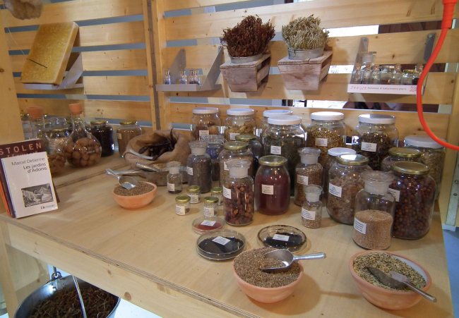 ��������� ������� ���������� ������ �����. 