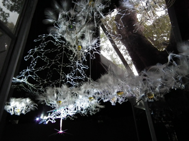 ���������� �����, ��� ������, ������ ������������ ���� �������� ��������� ����������� ������������: