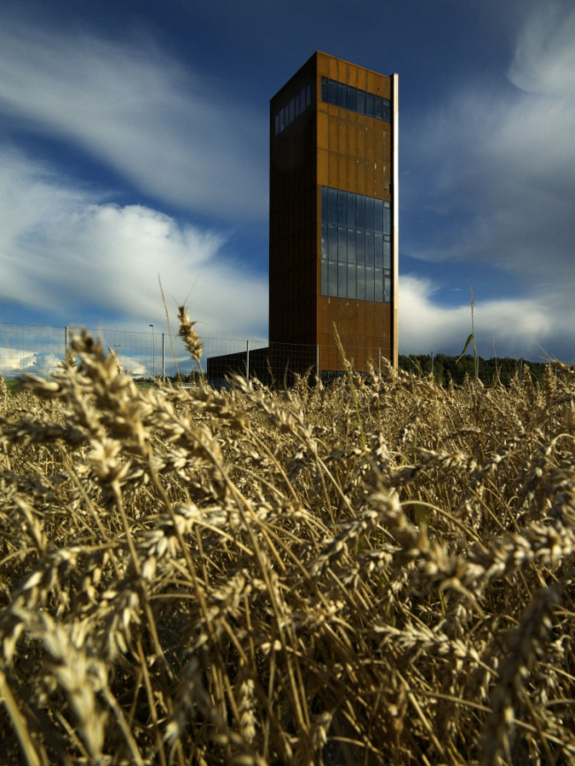 ����� � ���� ��������. ���� � Saunders Architecture