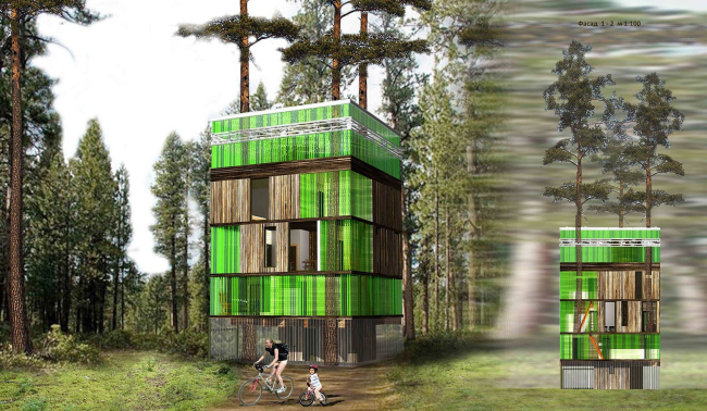 ������ XVOYA���. ���. ����� ������