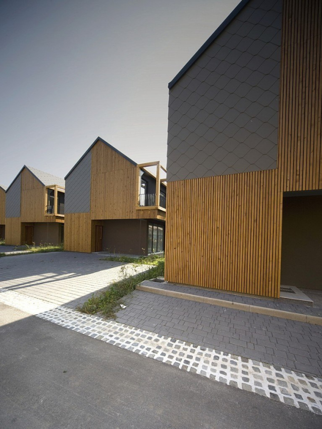 ������� Backbone Village. � Ofis Arhitekti