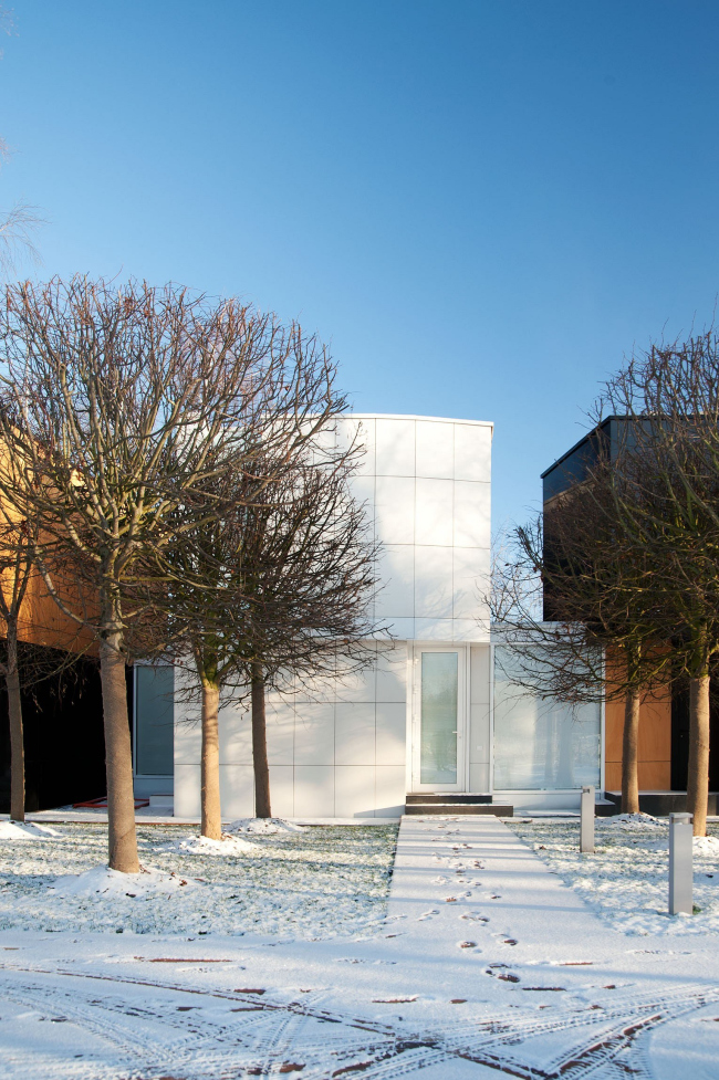 ���� �.�����������