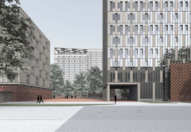 ������ ��������. ������ ������������� ����������� ����������-���������������� ���������. �������������� ������� 