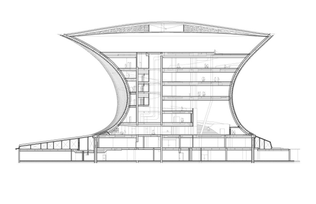 ����� ��������. ������ � FREE Fernando Romero