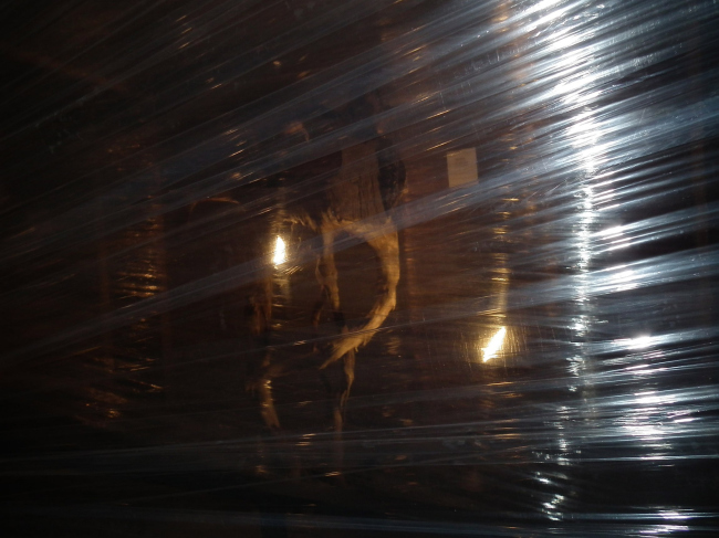 ���������� � ���� �����������