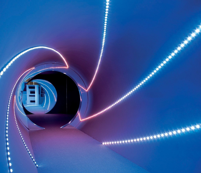 ������������� ���� CEBRA (�����) - ���� �� ���������� ������� Next International