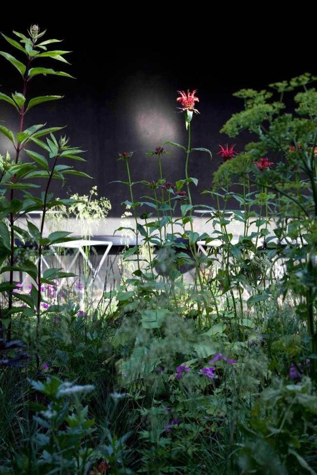 ������ �������� ������� ���������� 2011 � Walter Herfst