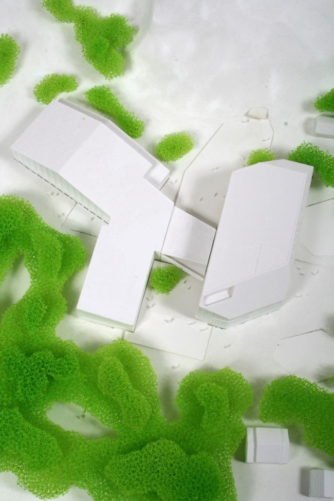 ����� ������������ � Cebra / Various Architects / Ostengen & Bergo