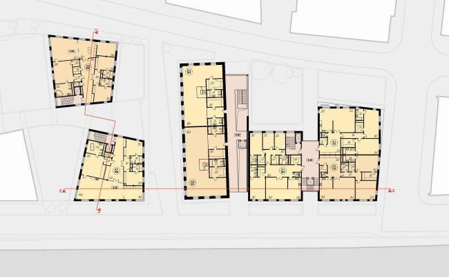 ���� �������� �����