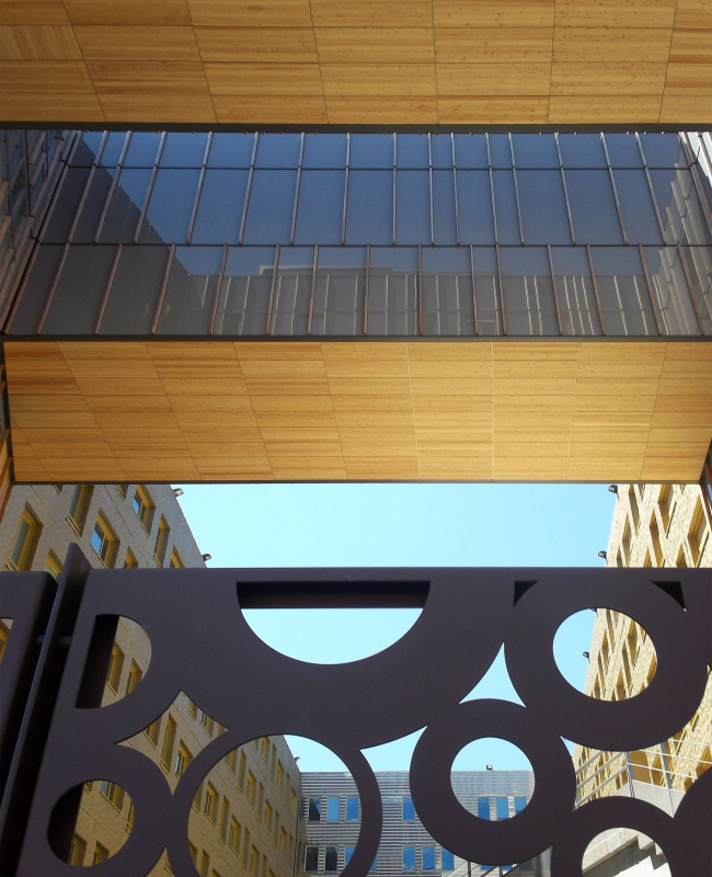 ����� ���� � �����. ���� � ����� ������ 