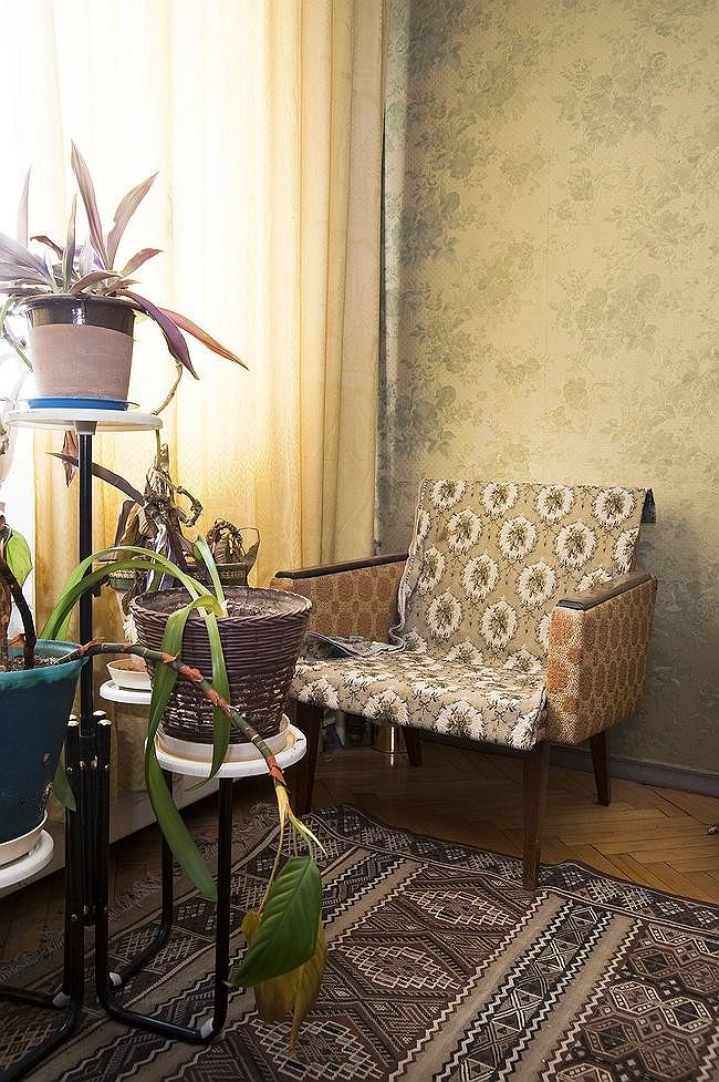 �������� ��������� ���������. ����: ������� ����������