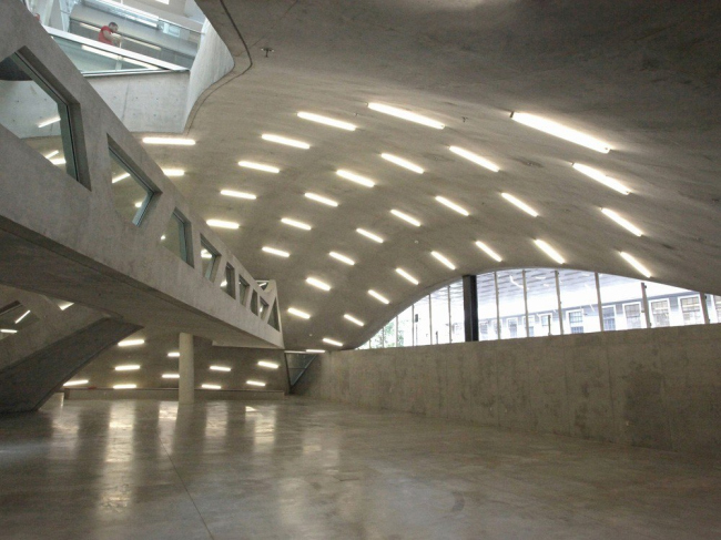 ������ ���������� ������������ �������� � Cornell AAP