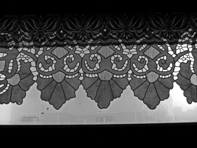 ���-����� �. �����������. ����. ���� ������, 2011