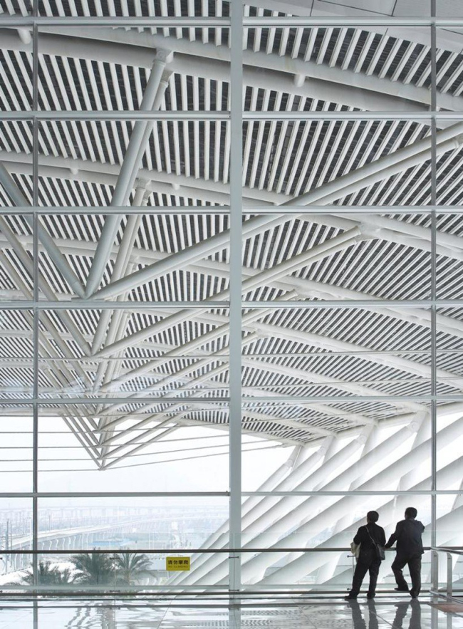 ����� ������ �������� � TFP Farrells