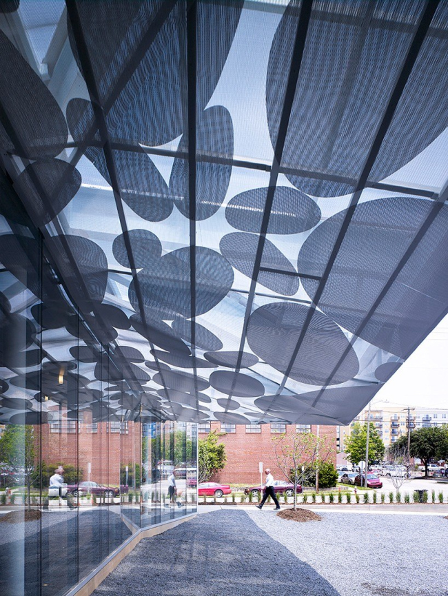 ����� ������������ ��������� ���� � Lawrence Scarpa