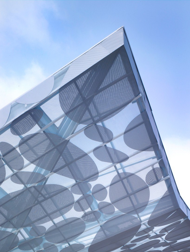 ����� ������������ ��������� ���� � Lawrence Scarpa