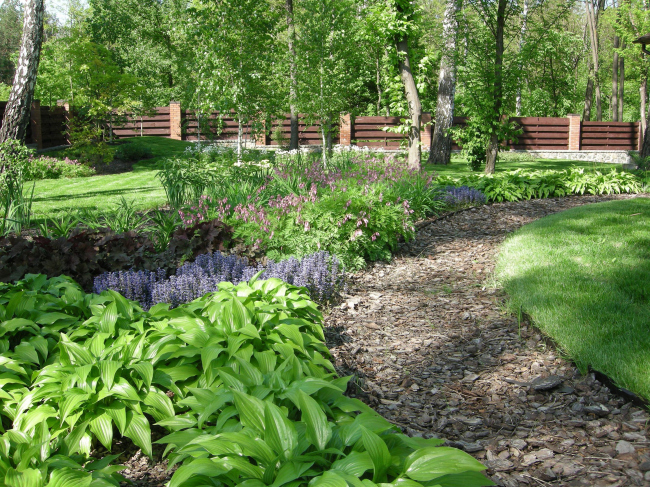 ������� ���. ���� �����������