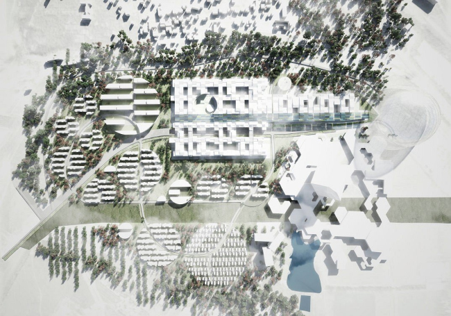 ������-���� ���� ������ � ������ ���������. ����������� � ���� ��������