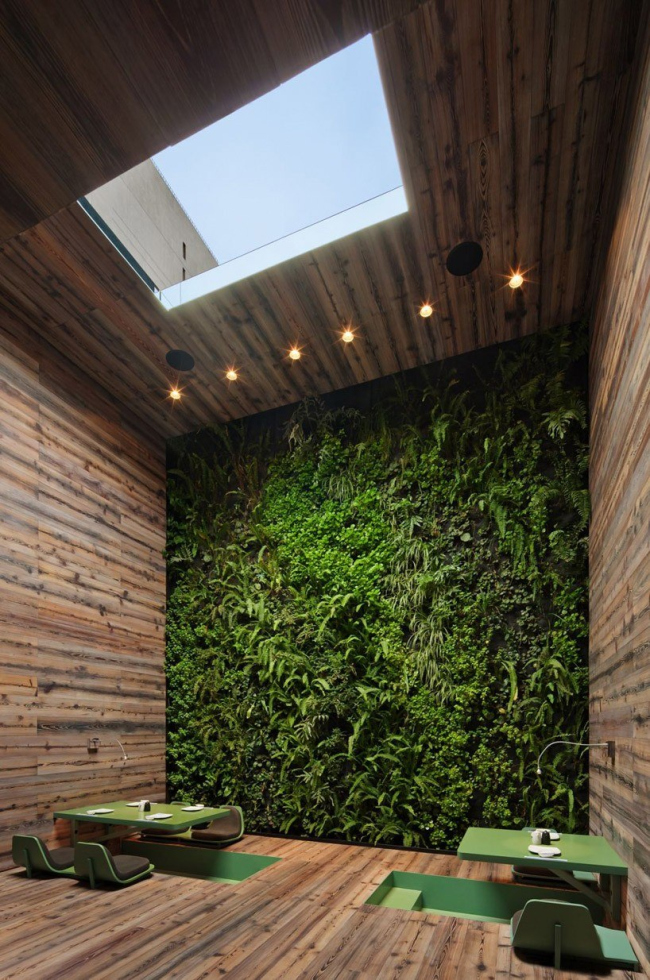 �������� �������� �����-����. ����  Paúl Rivera, � Rojkind Arquitectos