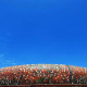 Стадион "Соккер Сити", Йоханнесбург