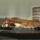 Mangera Yvars Architects Mangera Yvars Architects