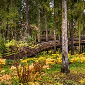 ������ ���