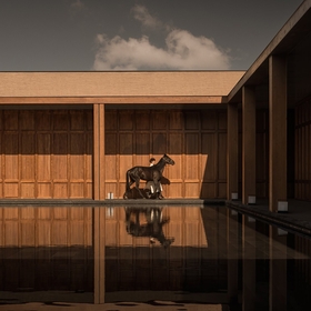 ���� � ���������