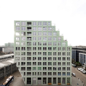 �� ���� ����