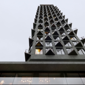 ���� ���������� ���������