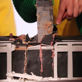 ������ ������