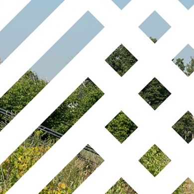 �� �������� 