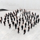 ZROBIM architects